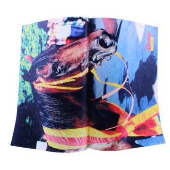 Conny Comic Nr. 227 1985 Bastei kaufen | Mädchen Pferde Comic | hoppla-stuff.de